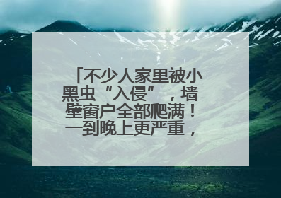 不少人家里被小黑虫“入侵”，墙壁窗户全部爬满！一到晚上更严重，还有一股臭味