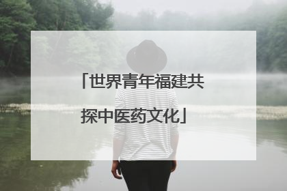 世界青年福建共探中医药文化