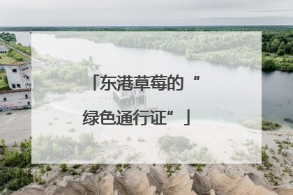 东港草莓的“绿色通行证”