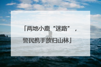 两地小鹿“迷路”，警民携手放归山林