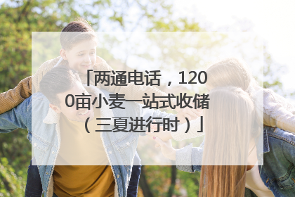 两通电话，1200亩小麦一站式收储（三夏进行时）