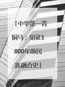 中华第一青铜马：见证1800年前民族融合史
