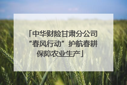 中华财险甘肃分公司“春风行动”护航春耕 保障农业生产