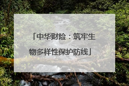 中华财险：筑牢生物多样性保护防线