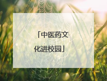中医药文化进校园