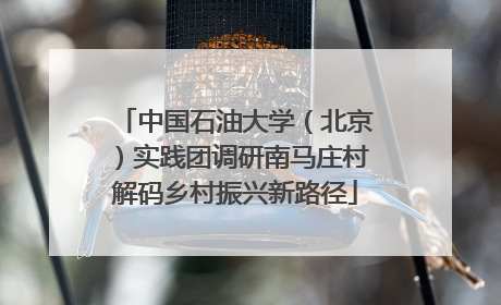 中国石油大学（北京）实践团调研南马庄村解码乡村振兴新路径