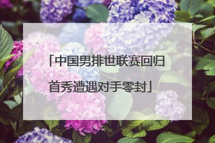 中国男排世联赛回归首秀遭遇对手零封