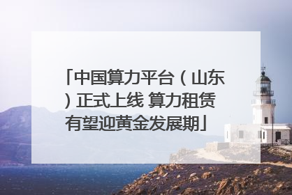 中国算力平台（山东）正式上线 算力租赁有望迎黄金发展期