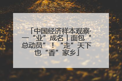 中国经济样本观察·一“业”成名丨面包“总动员”！“走”天下也“香”家乡