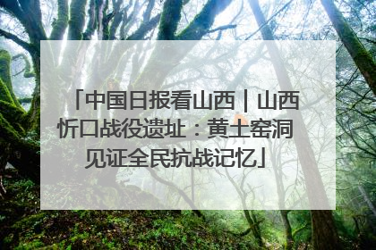中国日报看山西｜山西忻口战役遗址：黄土窑洞见证全民抗战记忆