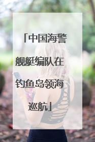 中国海警舰艇编队在钓鱼岛领海巡航