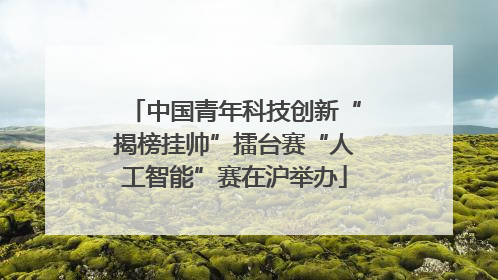 中国青年科技创新“揭榜挂帅”擂台赛“人工智能”赛在沪举办