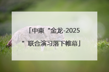 中柬“金龙-2025”联合演习落下帷幕