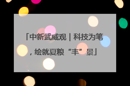 中新武威观｜科技为笔，绘就夏粮“丰”景