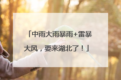 中雨大雨暴雨+雷暴大风，要来湖北了！