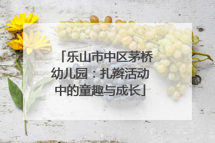 乐山市中区茅桥幼儿园：扎辫活动中的童趣与成长