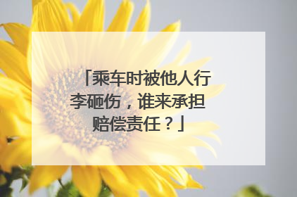乘车时被他人行李砸伤，谁来承担赔偿责任？