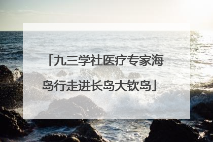 九三学社医疗专家海岛行走进长岛大钦岛