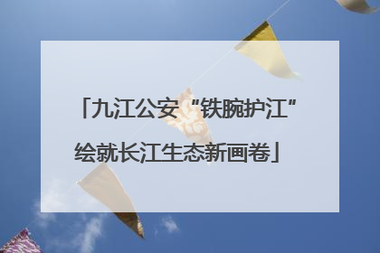 九江公安“铁腕护江”绘就长江生态新画卷