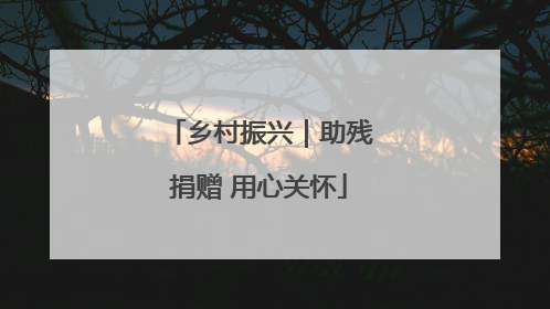 乡村振兴｜助残捐赠 用心关怀