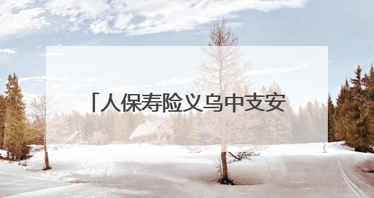 人保寿险义乌中支安全宣传入村暖民心
