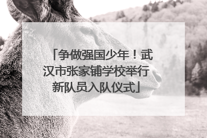 争做强国少年！武汉市张家铺学校举行新队员入队仪式