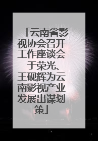 云南省影视协会召开工作座谈会 于荣光、王砚辉为云南影视产业发展出谋划策