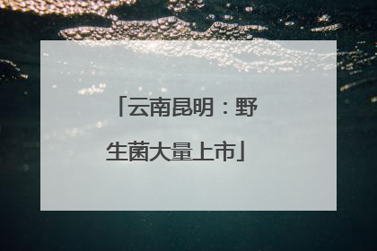 云南昆明：野生菌大量上市