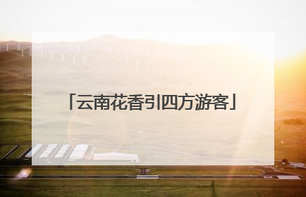 云南花香引四方游客