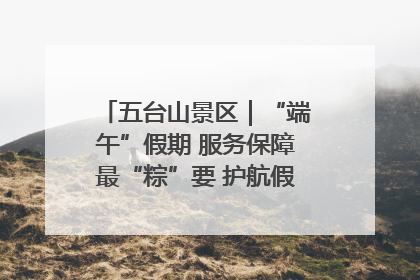 五台山景区｜“端午”假期 服务保障最“粽”要 护航假期“不打烊”