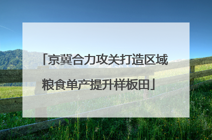 京冀合力攻关打造区域粮食单产提升样板田