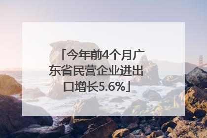 今年前4个月广东省民营企业进出口增长5.6%