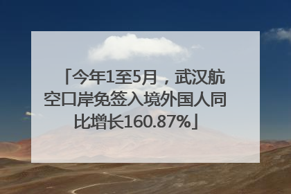 今年1至5月，武汉航空口岸免签入境外国人同比增长160.87%