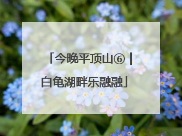 今晚平顶山⑥｜白龟湖畔乐融融