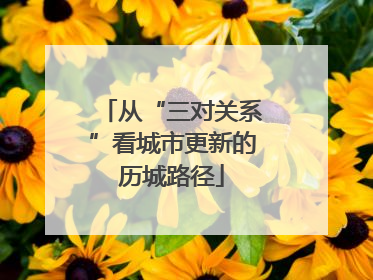 从“三对关系”看城市更新的历城路径