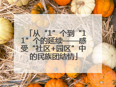 从“1”个到“11”个的延续——感受“社区+园区”中的民族团结情