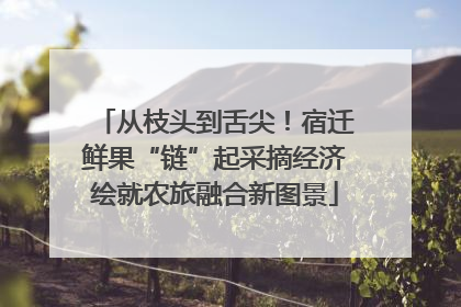 从枝头到舌尖！宿迁鲜果“链”起采摘经济绘就农旅融合新图景