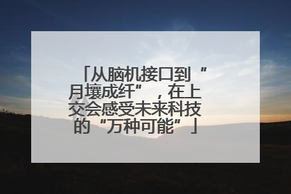 从脑机接口到“月壤成纤”，在上交会感受未来科技的“万种可能”
