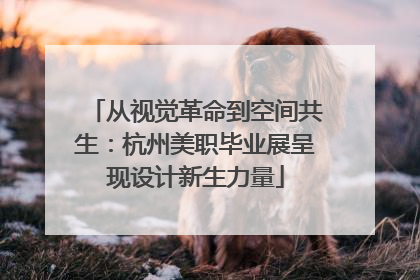 从视觉革命到空间共生：杭州美职毕业展呈现设计新生力量