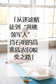 从迷途赌徒到“黄桃领军人”：肖石明的高素质农民蜕变之路