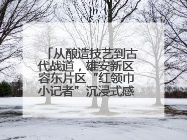 从酿造技艺到古代战道，雄安新区容东片区“红领巾小记者”沉浸式感受历史韵味