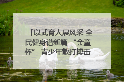 以武育人展风采 全民健身谱新篇 “金童杯” 青少年散打搏击邀请赛圆满落幕