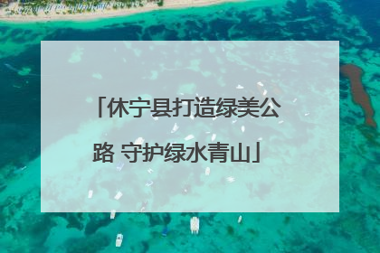 休宁县打造绿美公路 守护绿水青山