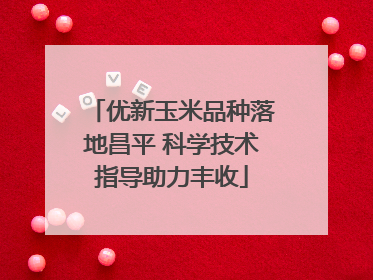 优新玉米品种落地昌平 科学技术指导助力丰收