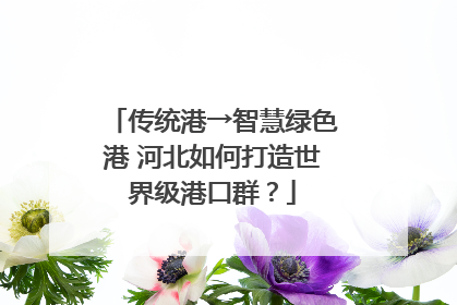 传统港→智慧绿色港 河北如何打造世界级港口群？