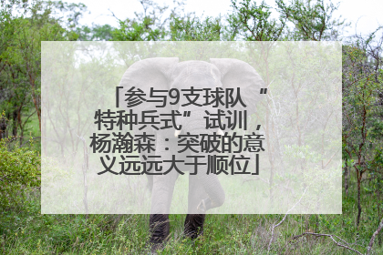 参与9支球队“特种兵式”试训，杨瀚森：突破的意义远远大于顺位