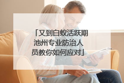 又到白蚁活跃期 池州专业防治人员教你如何应对