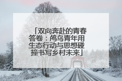 双向奔赴的青春答卷：鸬鸟青年用生态行动与思想碰撞书写乡村未来