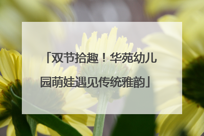 双节拾趣！华苑幼儿园萌娃遇见传统雅韵