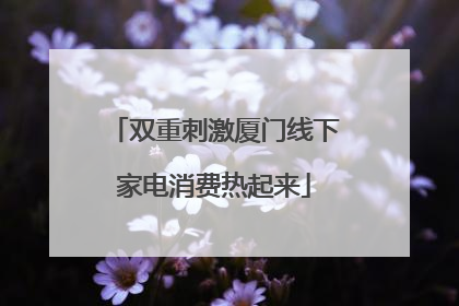双重刺激厦门线下家电消费热起来